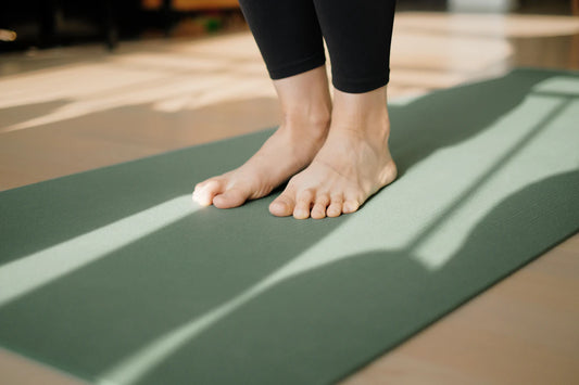 Gentle Fitness Low Impact Workouts and Nutrition for All